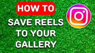 How to Save Instagram Reels to Your Gallery (2023) - Full Guide