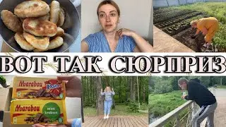 VLOG:СЮРПРИЗ на ТРОИЦУ/пирожки с ЯЙЦОМ/ПСИХАНУЛА/МАМА сажает ТЫКВУ