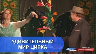 Удивительный мир цирка