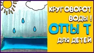 Наглядный эксперимент для детей. Круговорот воды в пакете