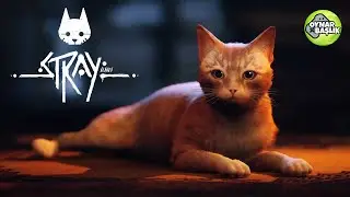 STRAY (Türkçe) 1. Bölüm