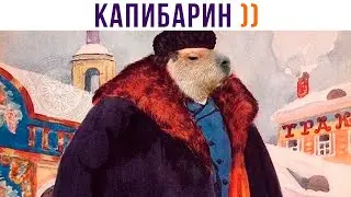 КАПИБАРИН ))) | Приколы | Мемозг 1281