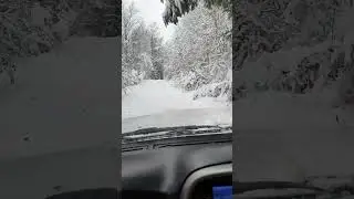 Снег на Тари 26.11.2023