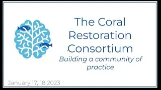 January 17, 2024 | The Coral Restoration Consortium - Building a Global Community of Practice