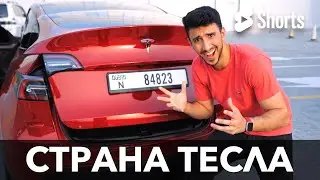 Почему в Норвегии полно Tesla