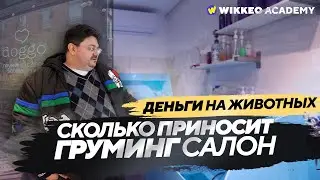 Как открыть ГРУМИГ САЛОН? Или бизнес по франшизе. DOGGO.