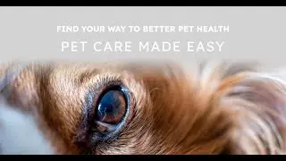 Pet Care Display google map & pet health screen in jetpack compose native android