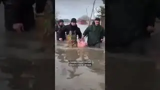 Необычное спасение в Казахстане