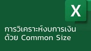 แชร์ทริค Excel: การวิเคราะห์งบการเงินด้วย Common Size (การวิเคราะห์ย่อส่วนตามแนวดิ่ง)