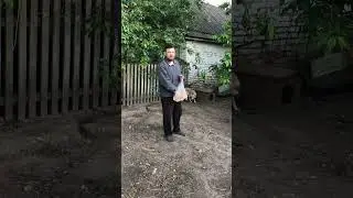 Вкусняшки для любимца #еда #рецепт #animals #вкусно #cute #farming #пп #food #рецепты