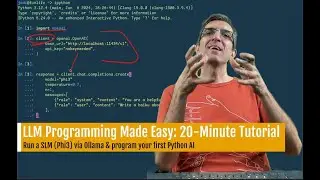 LLM Programming Made Easy: 20 Min tutorial on starting your local SLM openai compatible project