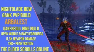 ESO Stamina Nightblade Bow Gank PVP Build - Arbalest - Necrom