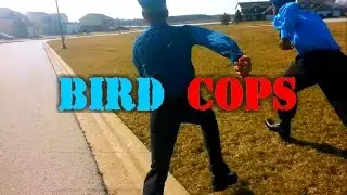 Bird Cops