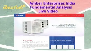 Telugu||Amber Enterprises ltd fundamental analysis