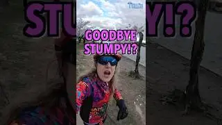 Cherry Blossoms 2024: Stumpy's Farewell Journey