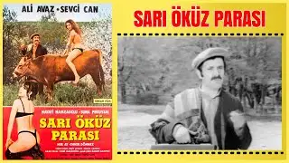 Sarı Öküz Parası 1972 | Suna Pekuysal Ali Avaz | Yeşilçam Filmi Full İzle