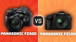 Panasonic FZ300 vs Panasonic FZ1000: Which Camera Is Better? (With Ratings & Sample Footage)