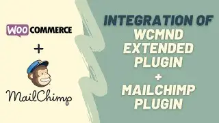 Integration of WooCommerce MailChimp Newsletter Discount Extended Plugin + MailChimp Plugin