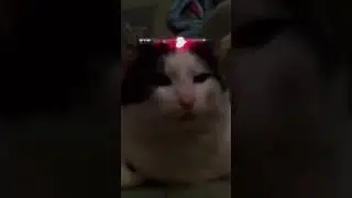 415 база ответьте! 