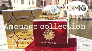 Best Amouage Fragrance
