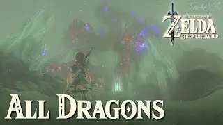 All Dragons - The Legend of Zelda: Breath of the Wild (Wii U)