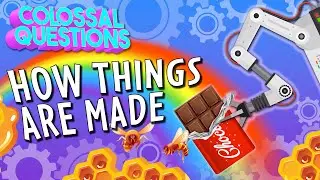 How is It Made? Chocolate, Honey, and MORE! | COLOSSAL QUESTIONS