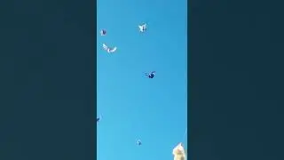 17 марта 2022 г.