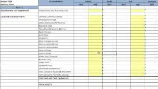 Budgeted Balance Sheet and Cashflow