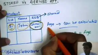 Stored Attributes vs Derived Attributes | Database Management System