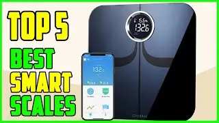 TOP 5: Best Smart Scales 2023