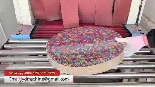 Firecracker Plate Heat Shrink Wrapping Machine With Film Cutter Sealer