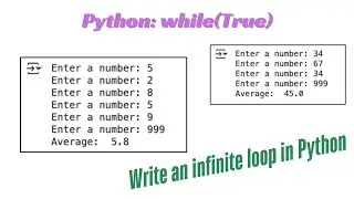 Python Lesson34: Implement a while(True) loop