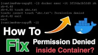 [Solved] How To Fix Permission Denied Error inside Docker Container? Docker Non-Root User Error