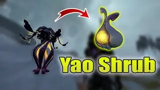 How to get Yao Shrub | Warframe Duviri Paradox