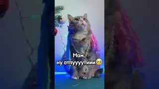 НОВОГОДНЯЯ | Милана Хаметова | кошачья версия 