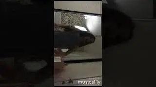 Если ты меня не любишь!