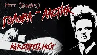 Обзор: 1977 Голова-ластик (BONUS). Как стереть мозг?