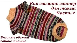 14. Как связать свитер для таксы. Часть 2