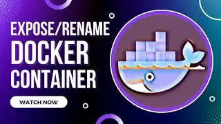 #6 Docker Tutorial | Expose Container