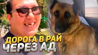 #Райское