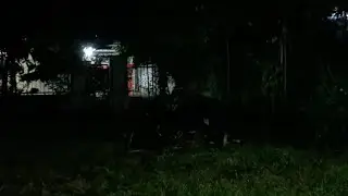 auu
