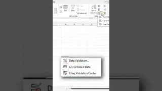 Circle Invalid Data Excel #exceltips