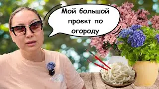 В Новом Доме Будет Огород! 😎 Клумбы Своими Руками