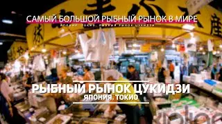 САМЫЙ БОЛЬШОЙ РЫБНЫЙ РЫНОК В МИРЕ. ВИДЕО ТУР ПО РЫБНОМУ РЫНКУ ЦУКИДЗИ. ЯПОНИЯ. ТОКИО