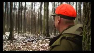 Охота на кабана [часть 1]