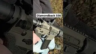 REACTION TO BINARY TRIGGER ON A DIAMONDBACK 556