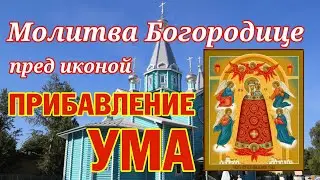 Молитва Пресвятой Богородице пред иконой "Прибавление ума" | Аудио + текст на экране