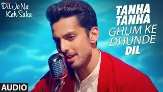 Tanha Tanha Audio Song | Dil Jo Na Keh Saka | Jubin Nautiyal | Himansh Kohli Priya Banerjee