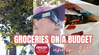 $100 GROCERY OUTLET GROCERIES ON A BUDGET