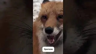 Как я выгляжу? | #shorts